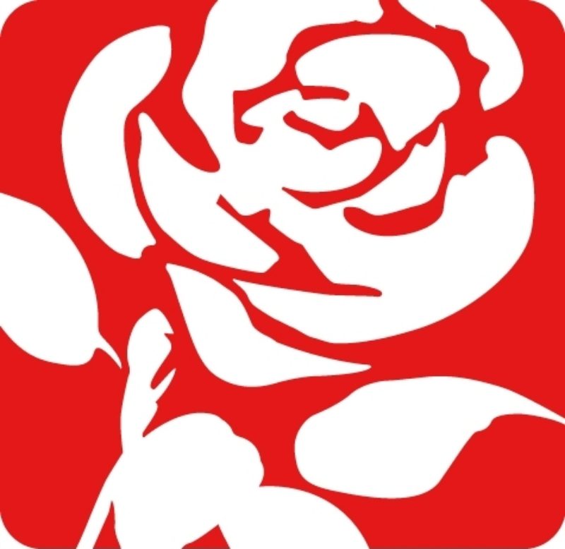 The Labour rose